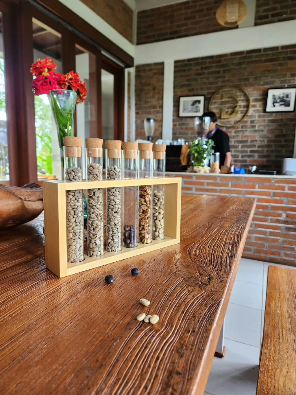 Suasana perkebunan kopi Bali Beans Plantation di Belok/Sidan