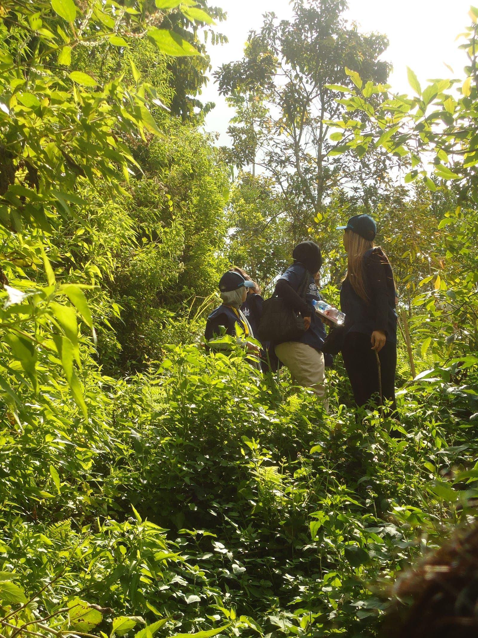 Kelompok trekking beristirahat di jalur hutan Belok/Sidan dengan cahaya matahari menembus kanopi