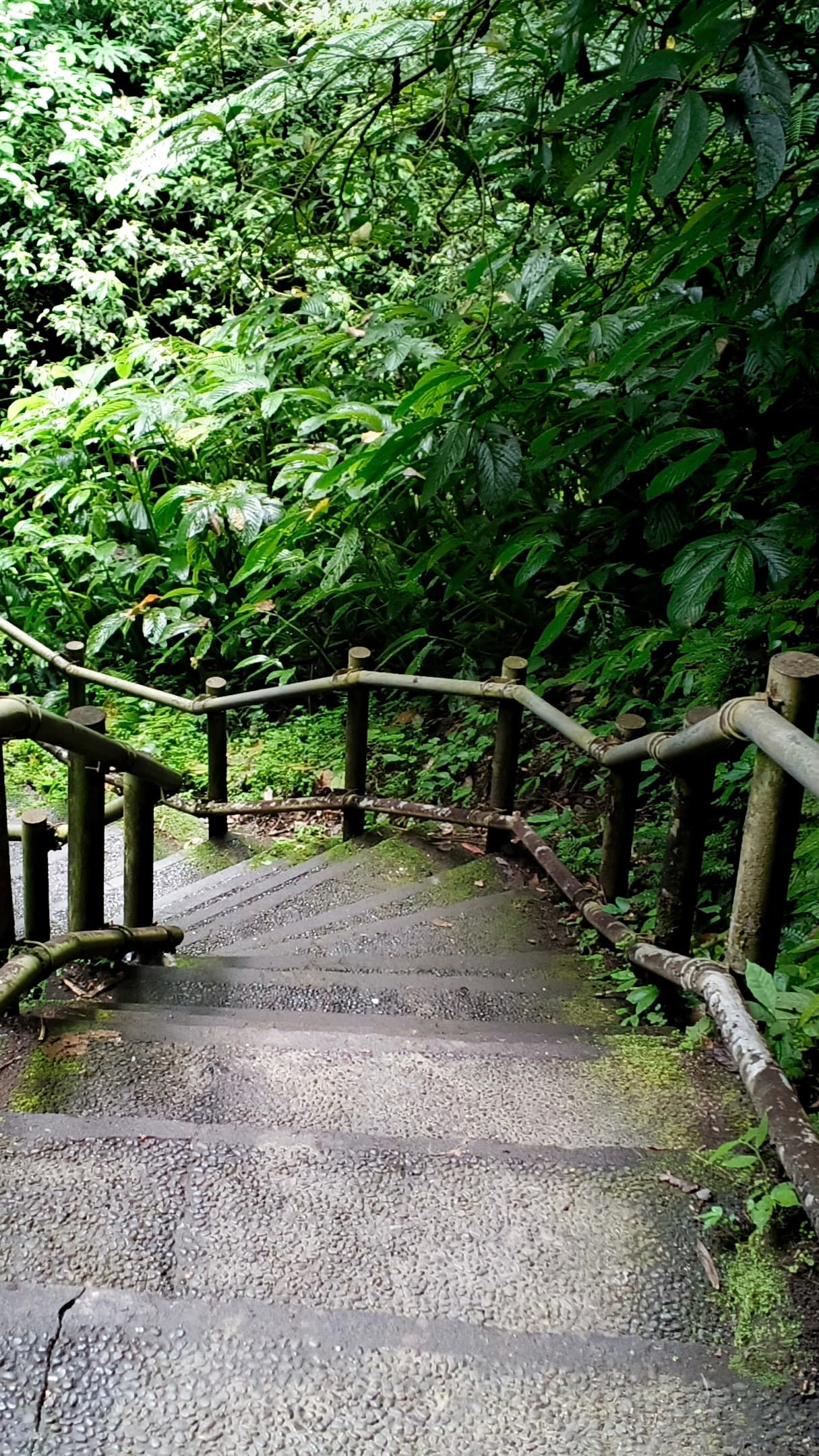 Detail aliran Air Terjun Nungnung dari sudut lain