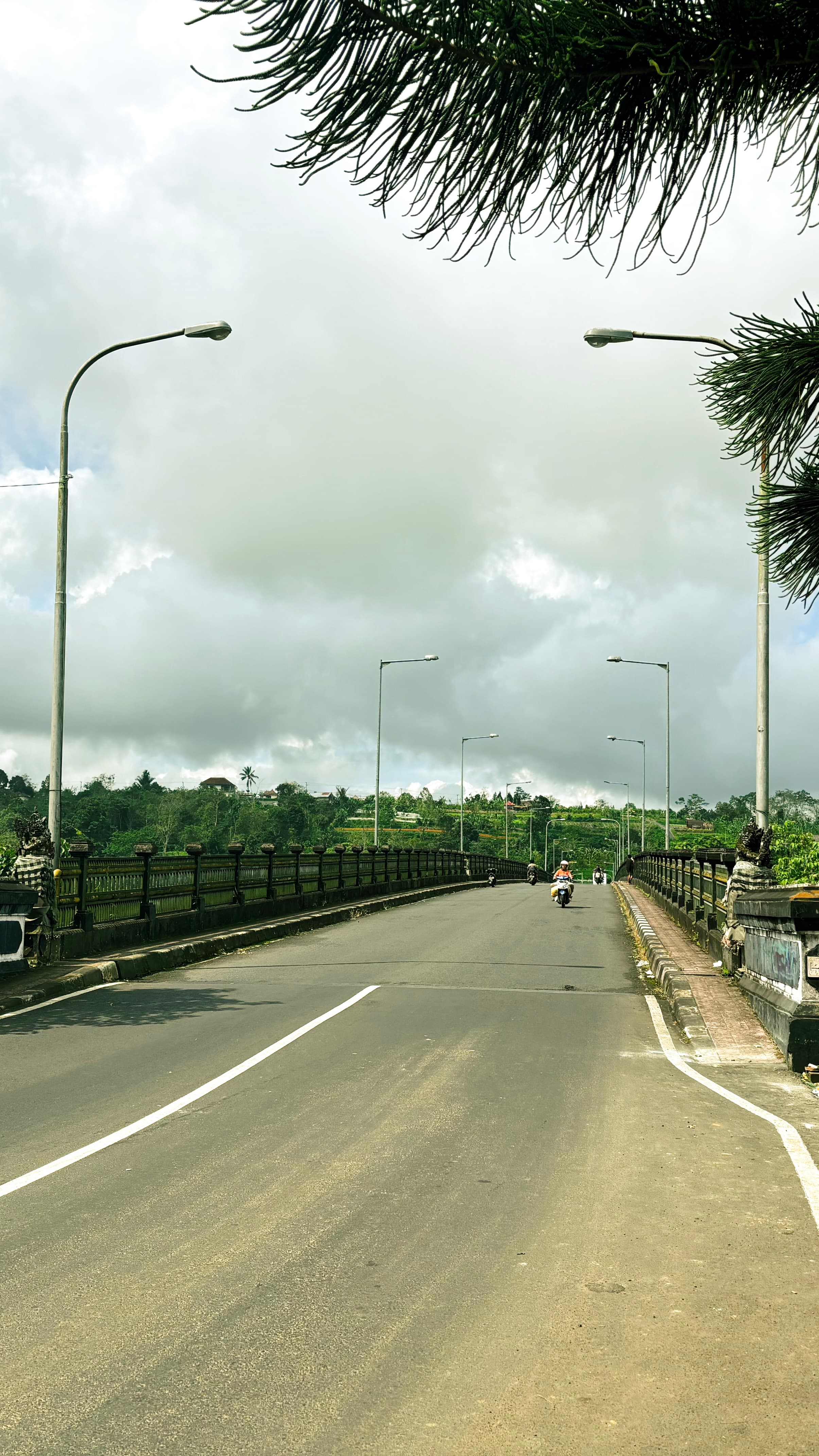 Jembatan Tukad Bangkung membentang tinggi di atas lembah hijau